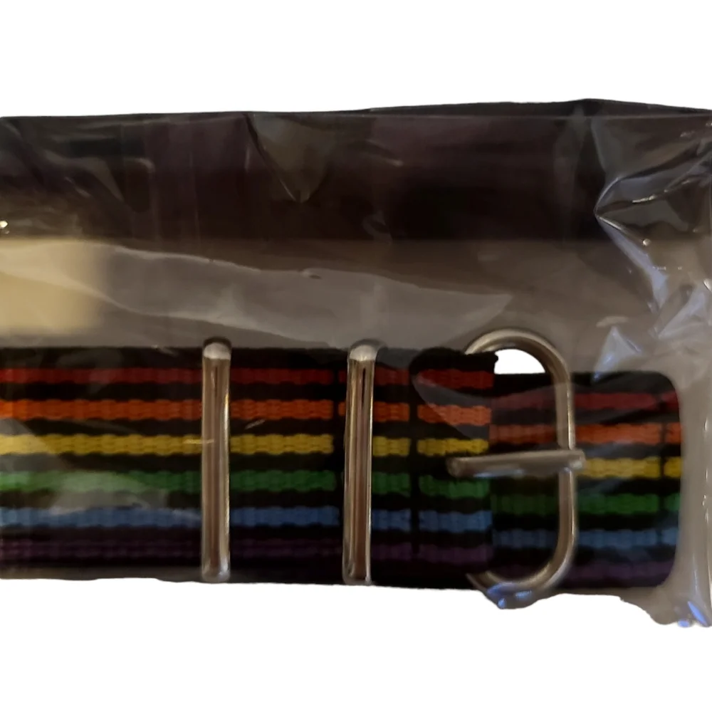 Rainbow Apple Watch Band NWT iwatch series colorful fun